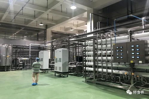 廣東實現保健食品生產企業體系檢查全覆蓋，數據處理服務助力精準監管