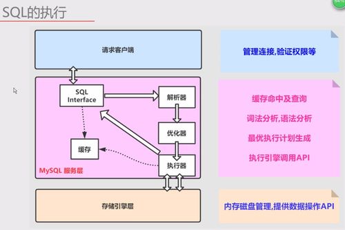MySQL核心理解筆記 體系架構與SQL執行全解析